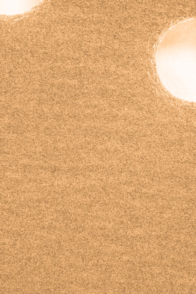 DISCO LIJA ROTO ORBITAL 5