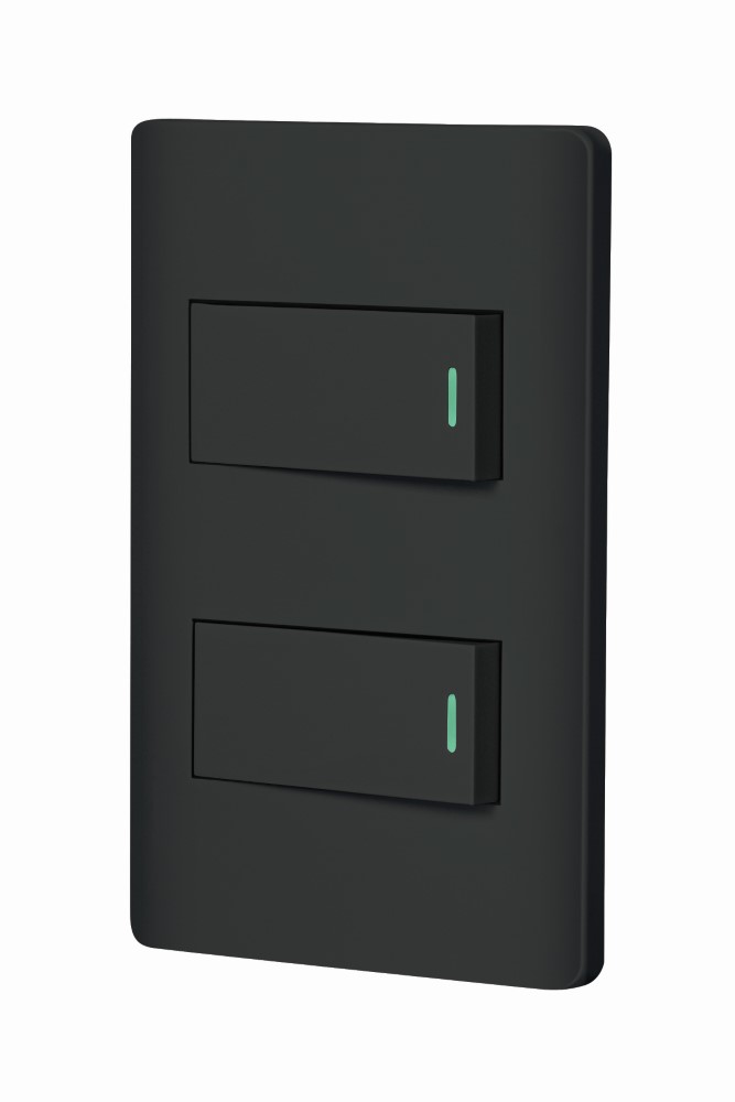 PLACA ARMADA NEGRA 1INT Y 1DE3VIAS 1MOD